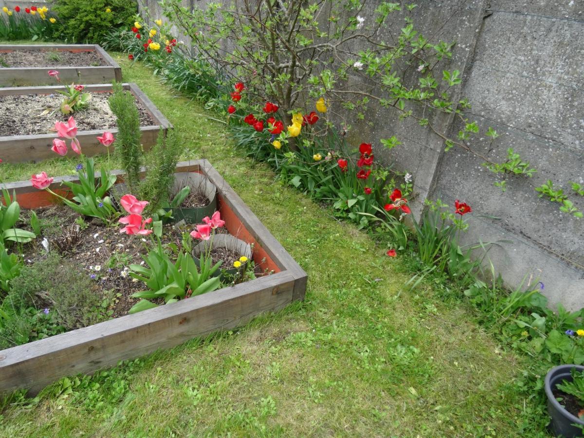 ساكلاي Maison D'Hotes Les Roses Tremieres المظهر الخارجي الصورة