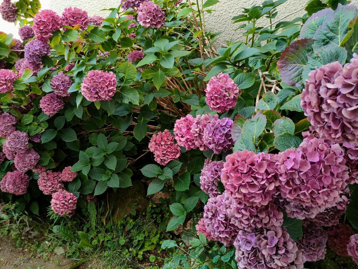 ساكلاي Maison D'Hotes Les Roses Tremieres المظهر الخارجي الصورة